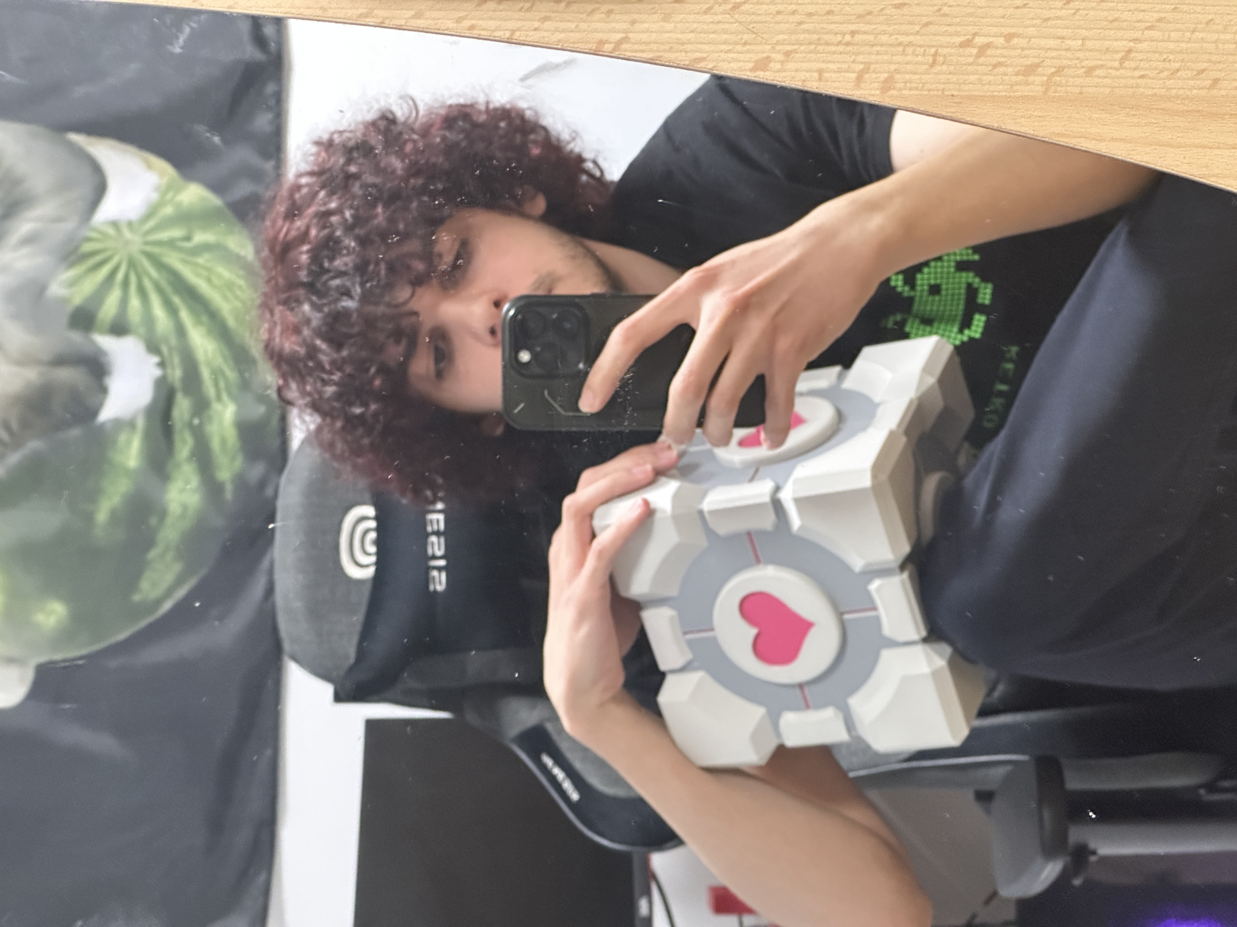 Companion Cube