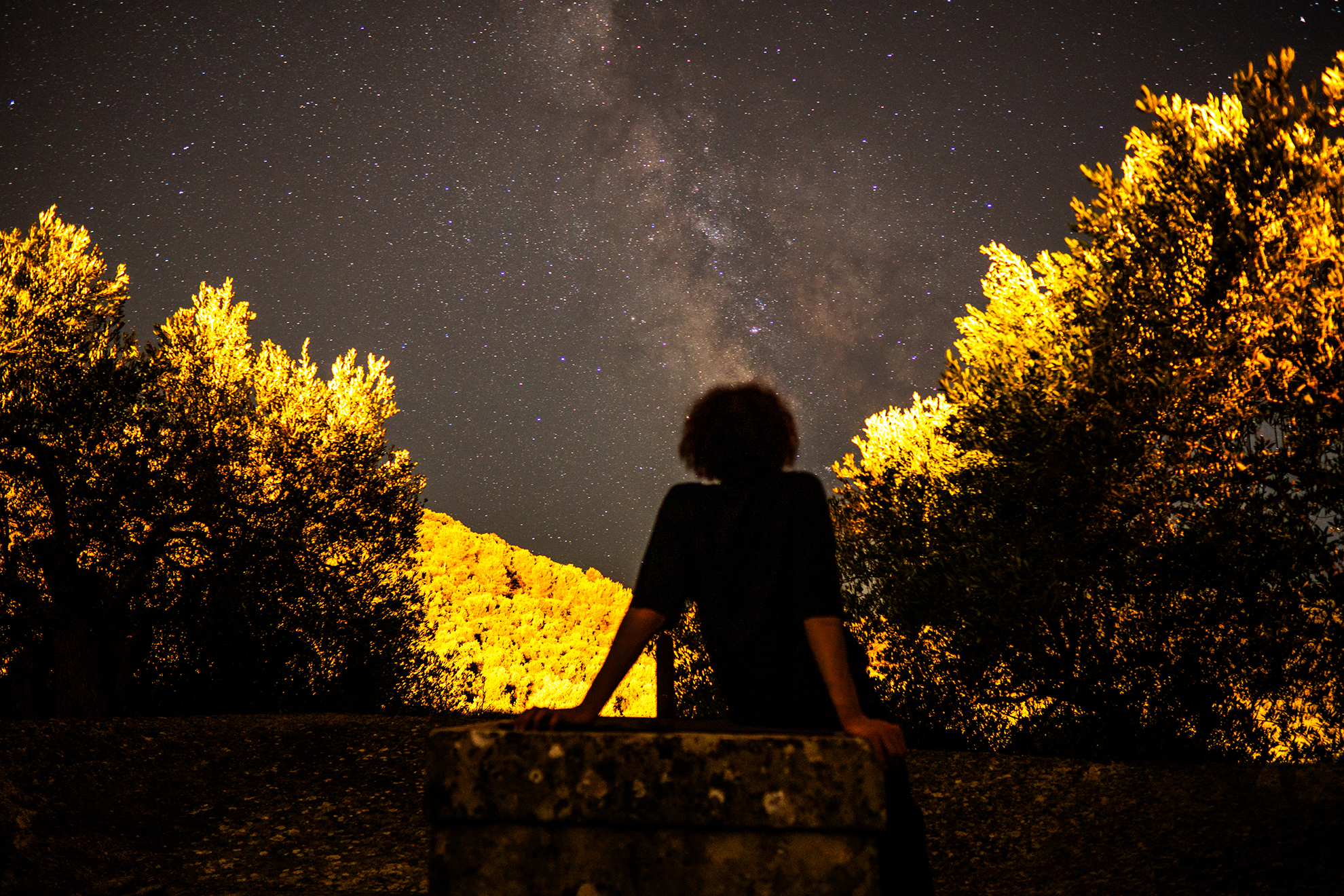 Pondering 2 (Sony)