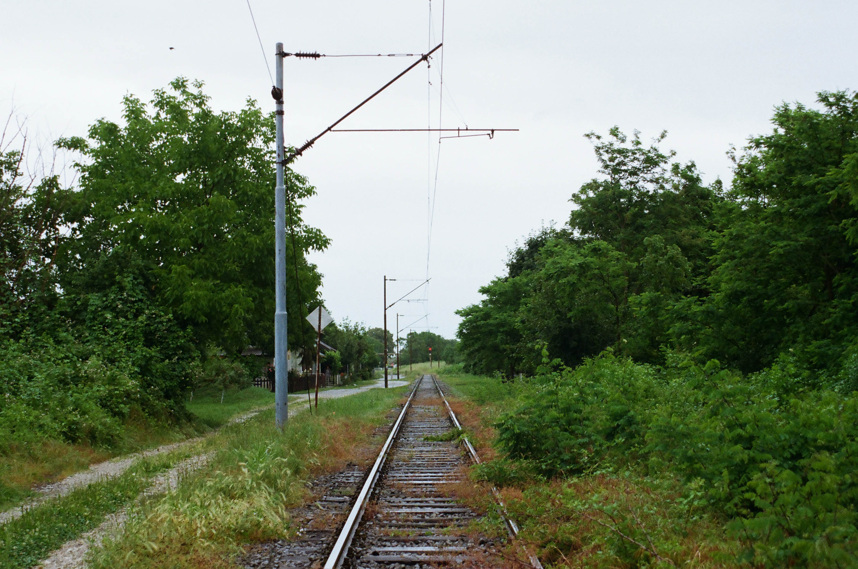 Borongaj 2